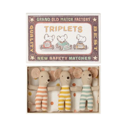 Triplets, Baby Mice in Matchbox