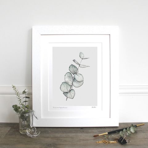 Eucalyptus Mounted Fine Art Print