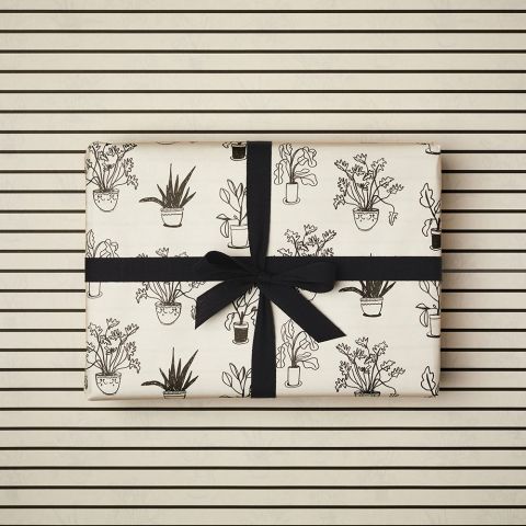 Ivory Stripe and Plants Wrapping Paper