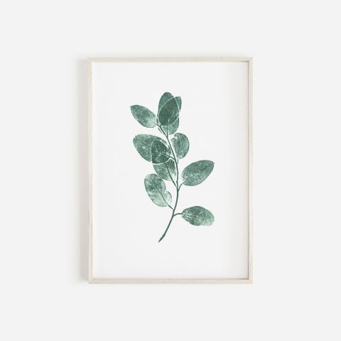 Eucalyptus Sprig Monoprint Green | Botanical Wall Art A3