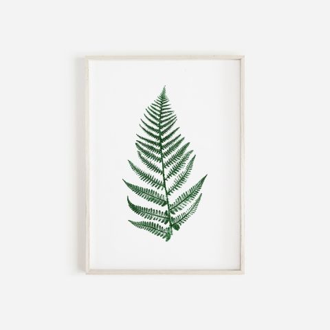 Fern Plant Print Green | Botanical Wall Art A4